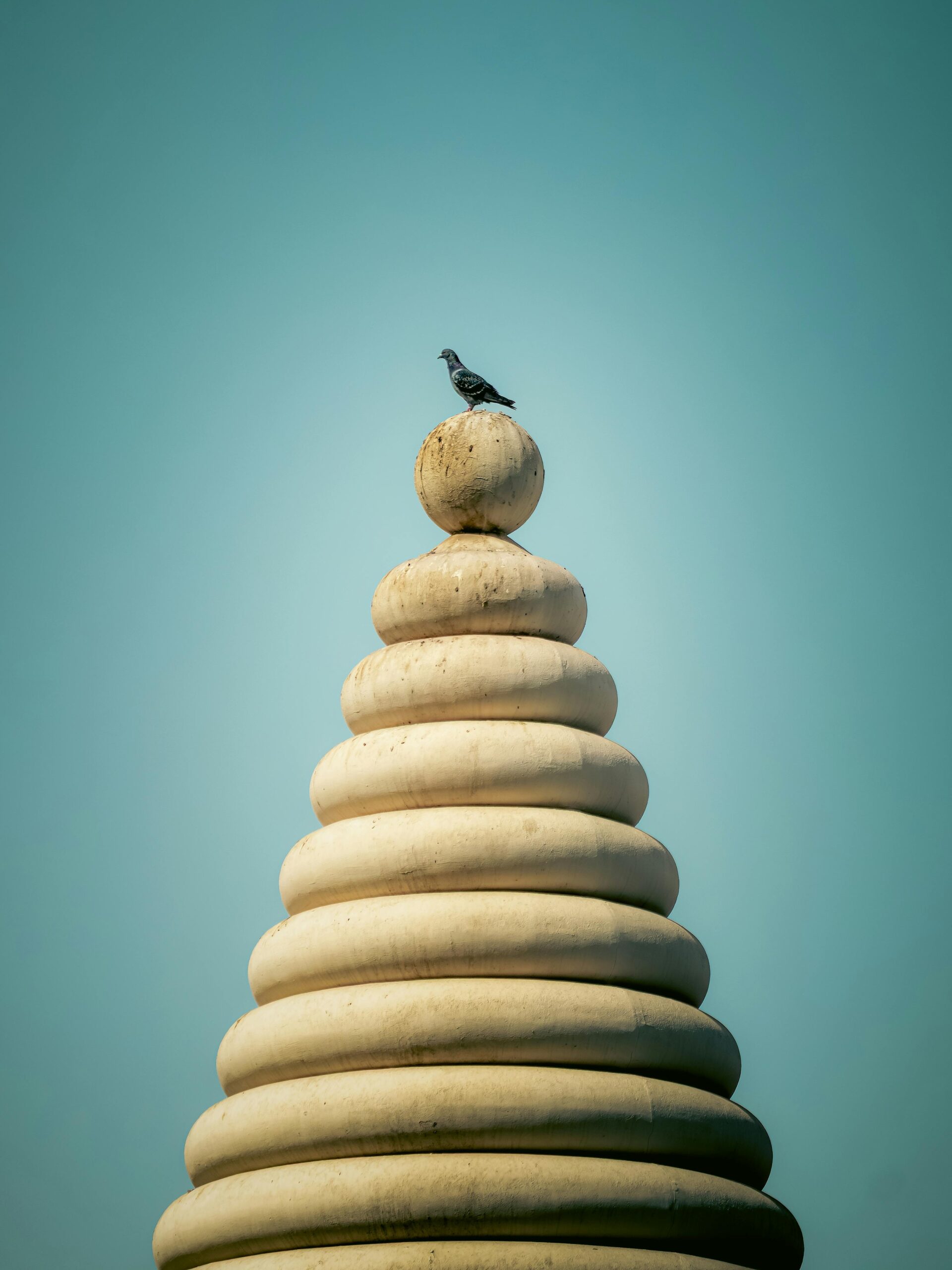 pexels bemess 33842397